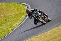 Middle Group Black Bikes